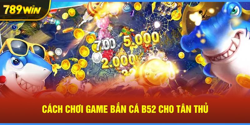 Cách chơi game Bắn Cá B52 cho tân thủ