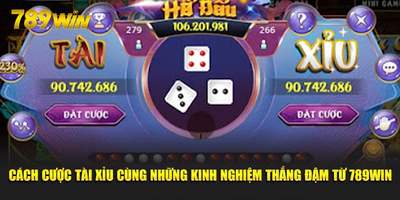 cach-cuoc-tai-xiu-cung-nhung-kinh-nghiem-thang-dam-tu-789win