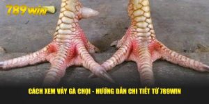 cach-xem-vay-ga-choi-huong-dan-chi-tiet-tu-789win