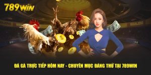 da-ga-truc-tiep-hom-nay-chuyen-muc-dang-thu-tai-789win