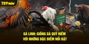 ga-linh-giong-ga-quy-hiem-voi-nhung-dac-diem-noi-bat