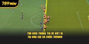 tim-hieu-thong-tin-ve-viet-vi-tai-nha-cai-ca-cuoc-789win