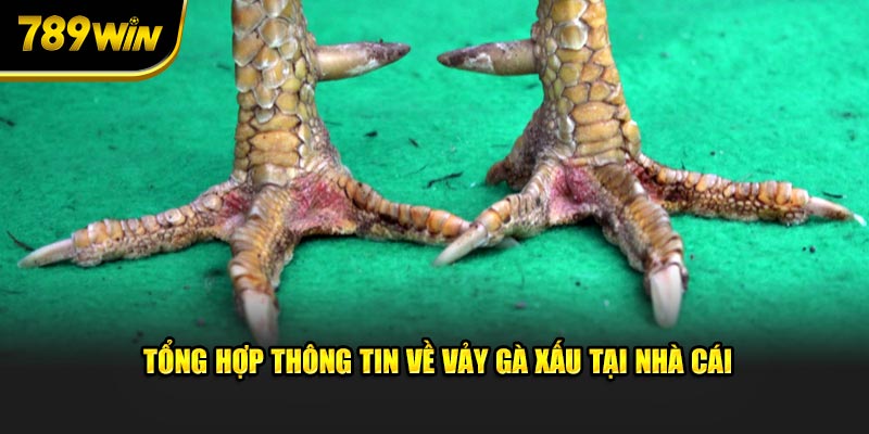 Tổng hợp thông tin về vảy gà xấu tại nhà cái