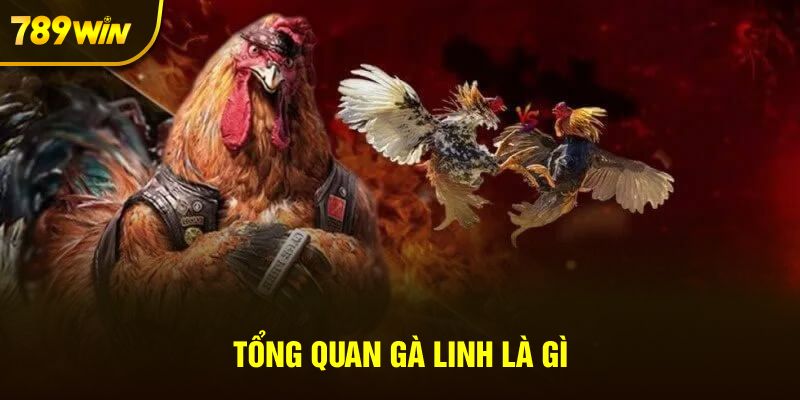 Tổng quan gà Linh là gì